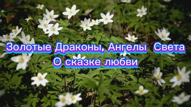Золотые Драконы, Ангелы  Света О сказке любви 07.08.2025г    (105 Послание)