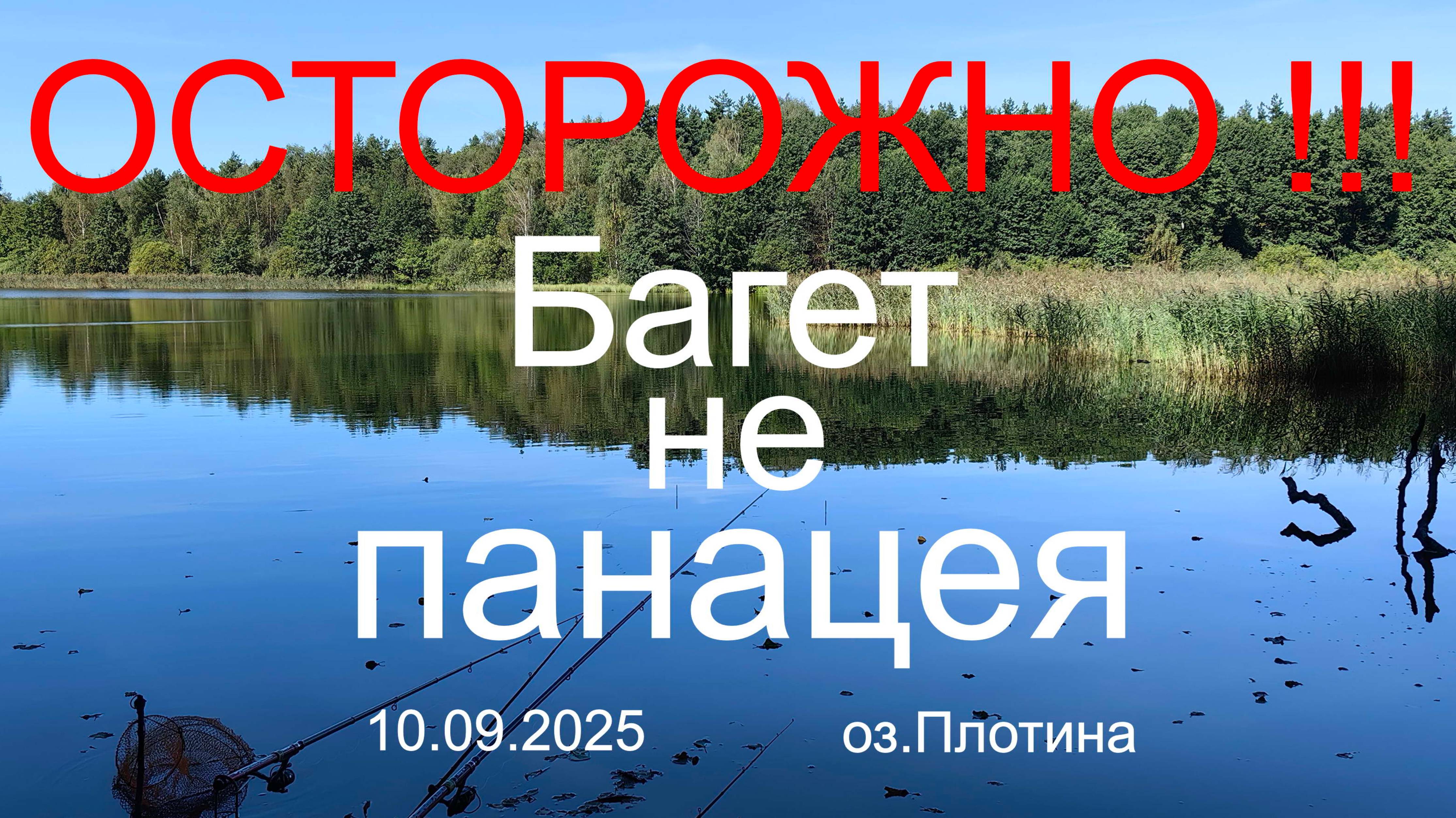 ОСТОРОЖНО !!!  Багет не панацея. 10.09.2025. оз. Плотина. Рыбалка в Подмосковье.