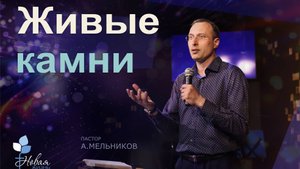 Живые камни | Андрей Мельников Церковь "Новая Жизнь" | г.Саратов