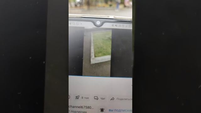 буби