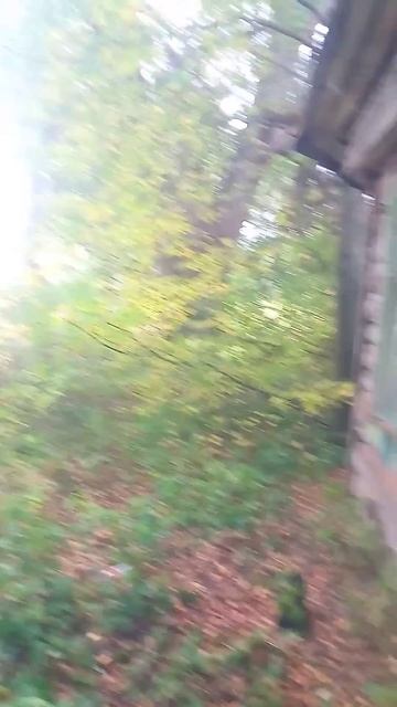 Все,что осталось #shorts_video