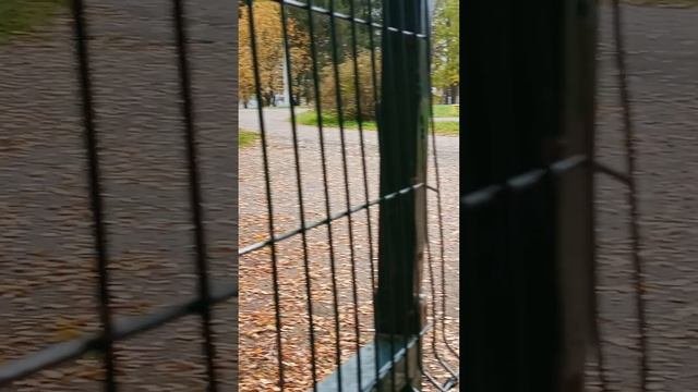 Прятки на территории школы 4