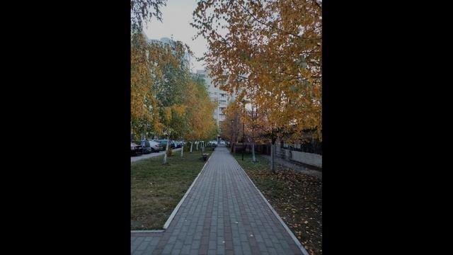 СтихоТворение 5.10.