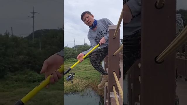 Как ловят кету на дергач в Корее #fishing #рыбалка #낚시 #carpfishing #автомобили #кино смотреть онлайн