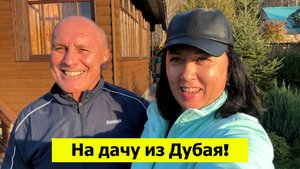 Первый раз на дачу после Дубая. Выкинули помидоры. Сосед показал новую баню