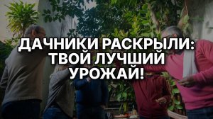 Вашему Огороду Будут Завидовать: 10 Советов От Опытных Дачников!