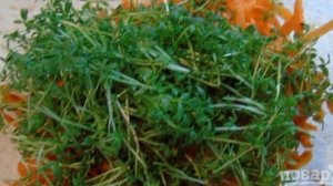 Кресс-салат