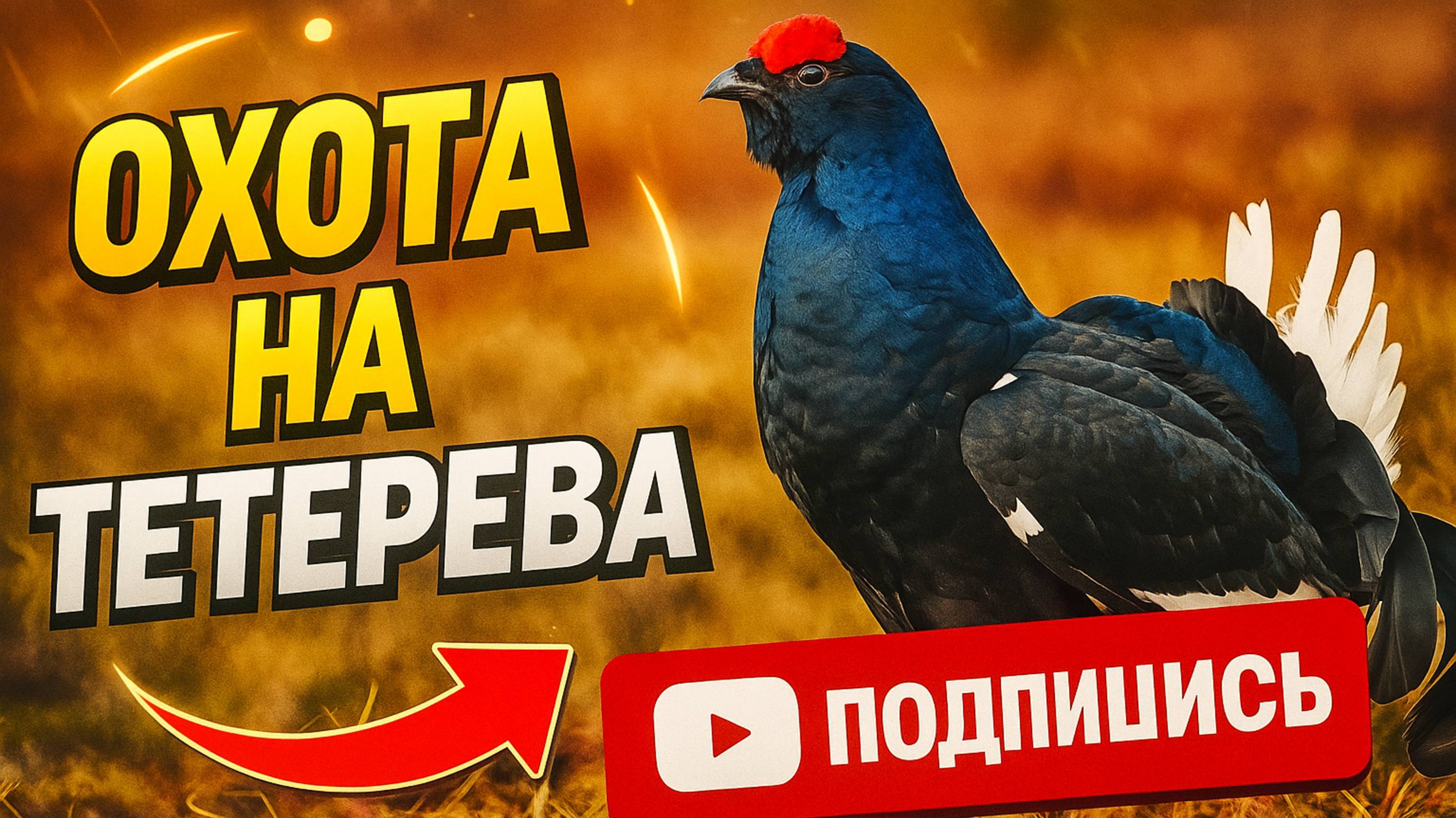 Тетерев хорошо токует! #косач #тетерев #охота #мужскоедело #лес #видеопроохоту #влес