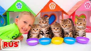 Дети играют с котятами! Видео от Влада и Ники!