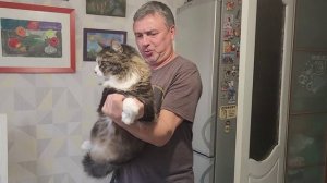 КУЗЯ ПУЛЕКОТ