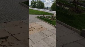 Успенский собор г. Владимир