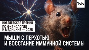 Дирижеры иммунной системы: за что присудили Нобелевскую премию по медицине и физиологии в 2025 году