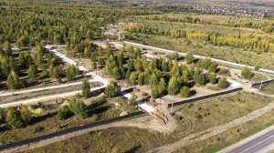 Шишкино 23.09.2025