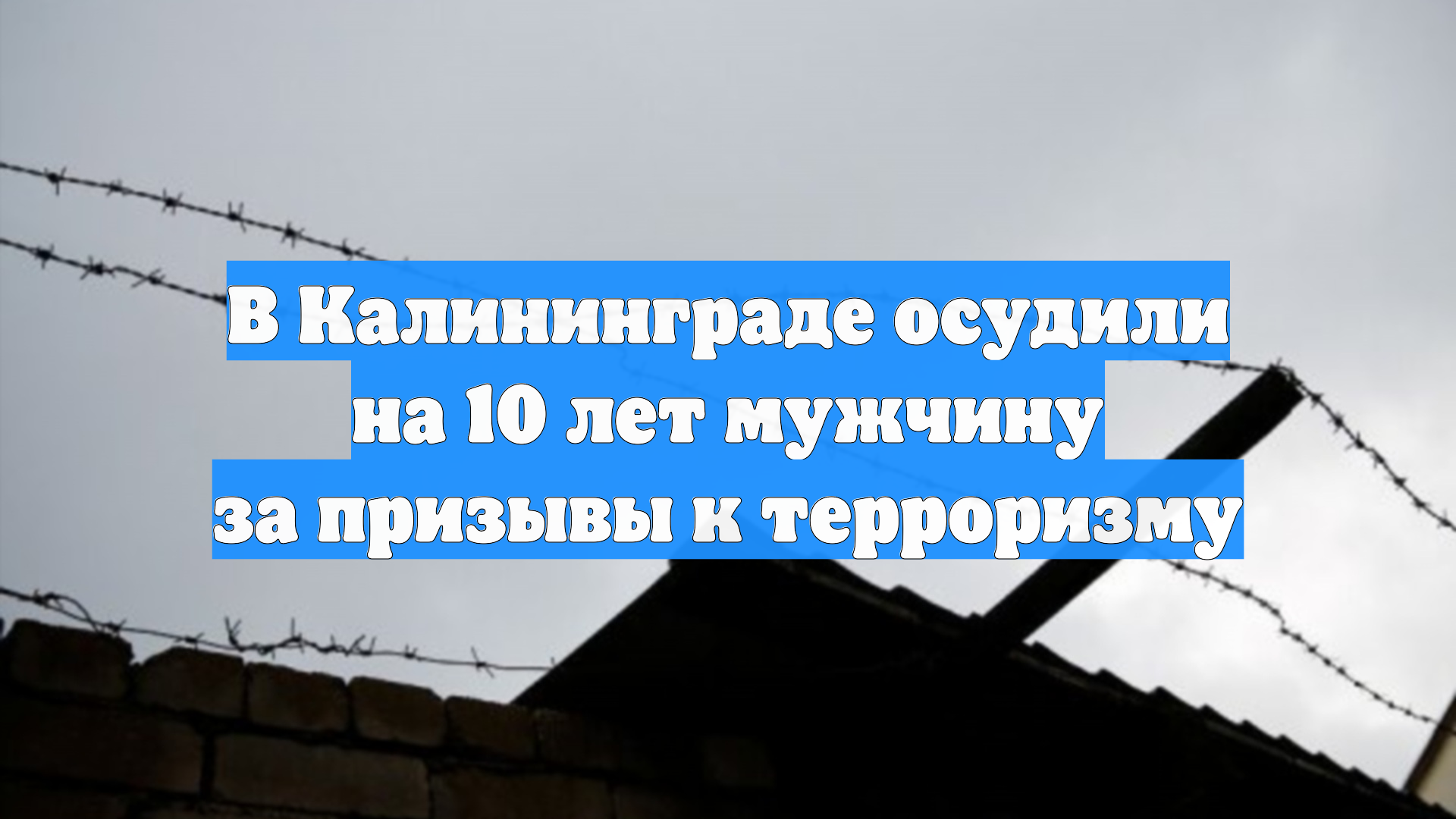 В Калининграде осудили на 10 лет мужчину за призывы к терроризму