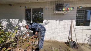 ЖИЗНЬ В ДЕРЕВНЕ. ЗАЛИВАЕМ ПОЛ ДЛЯ ТЕРРАСЫ. В ЛЕСУ ОТЛИЧНЫЙ УЛОВ.