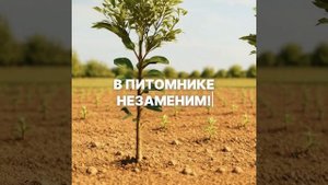 ЛАМА ПРО production представляет…МОЩ-Щ-ЩНЫЙ, ДЕРЗКИЙ, ТОП-ТОП-ТОРФ