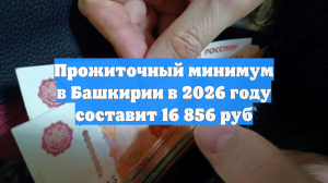 Прожиточный минимум в Башкирии в 2026 году составит 16 856 руб