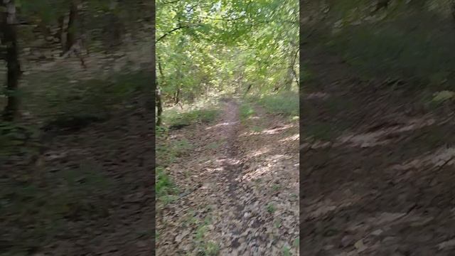 путешественники.