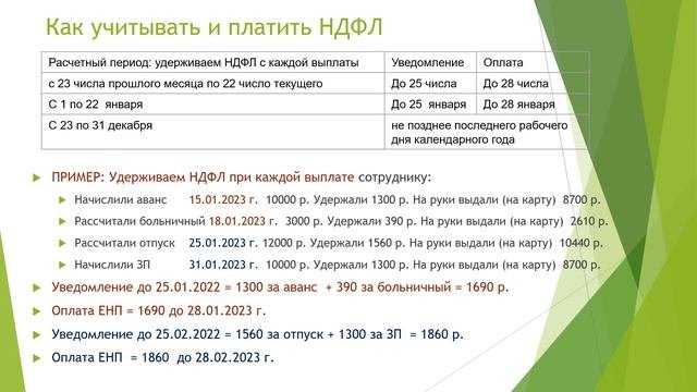Какие налоги и взносы платит работодатель с 2023