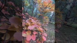 Октябрьский денек на Караби