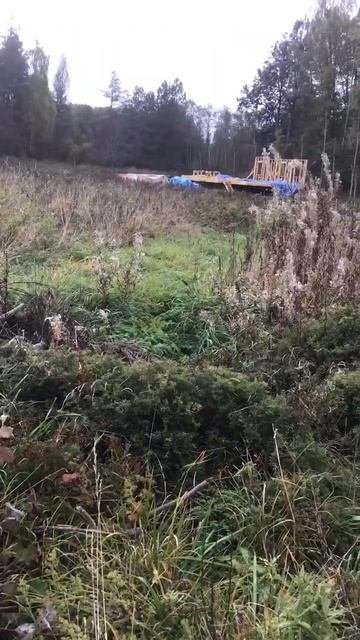 Ленобласть. Хвойное. 06.10.2025. Прогулка по селу перед возвращения с дачи в Петербург. Эпизод 8