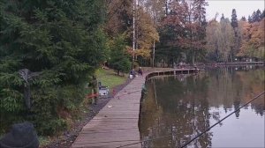 Обзор с нижнего водоёма. Клёвое место, Лосиный остров.