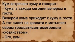 Как кум позвал куму в гости. Сборник анекдотов