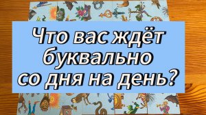 Что вас ждёт буквально со дня на день?