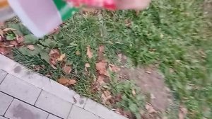 VID_20251007_134744.mp4