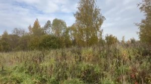 Участок в деревне Юрьевец 5 км от Череповца 18 соток