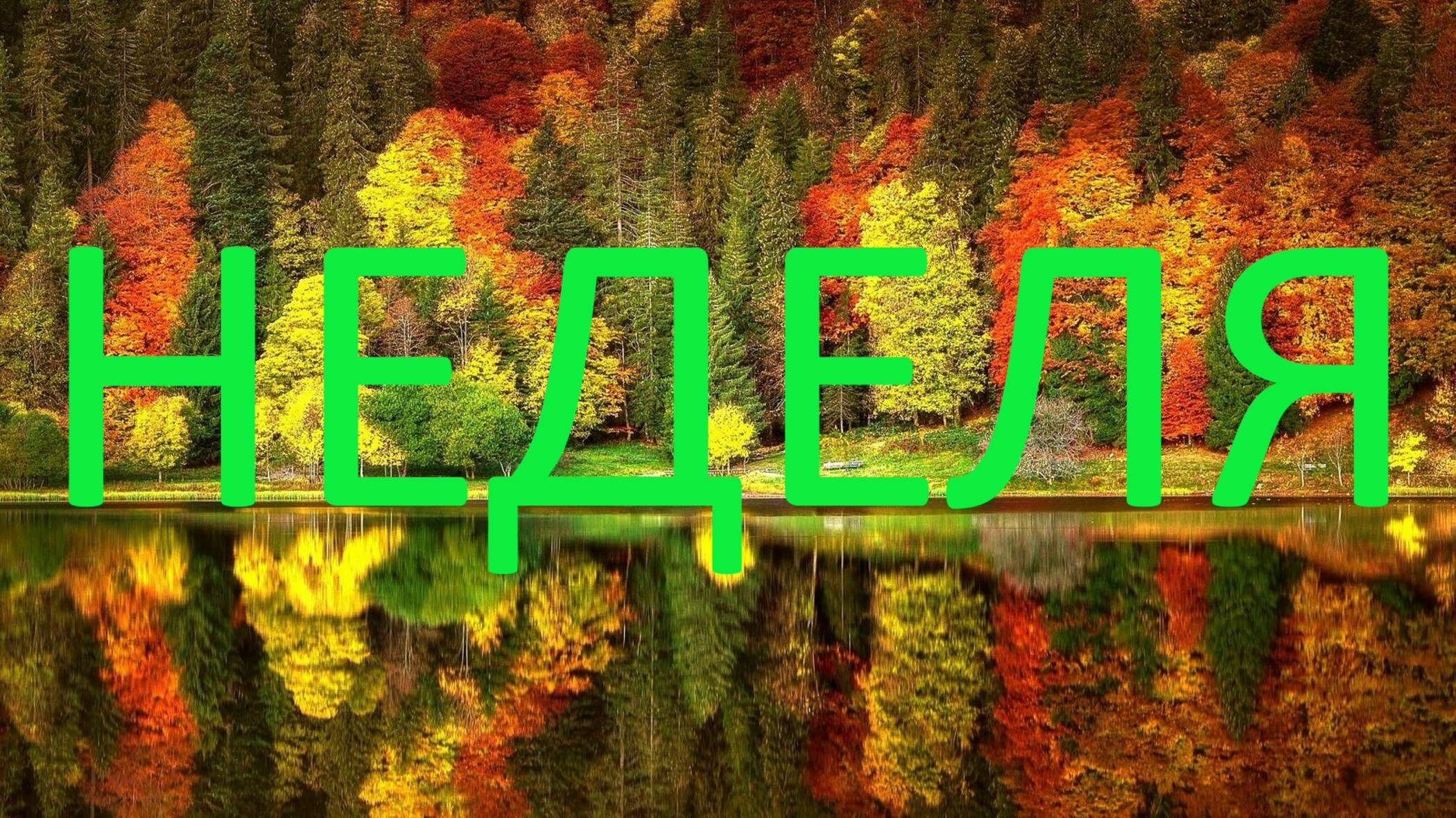 ⭐ ПРОГНОЗ НА НЕДЕЛЮ С 06.10.2025 ПО 12.10.2025 ⭐ Контакты Floransia@yandex.ru