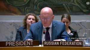 В.А.Небензя на Совете Безопасности ООН по тематике взаимодействия ООН с Африканским союзом 07.10.25