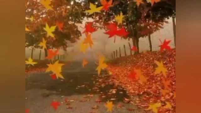 Мой ролик ЗАКРУЖИЛАСЬ ЛИСТВА ЗОЛОТАЯ...mp4 смотреть онлайн