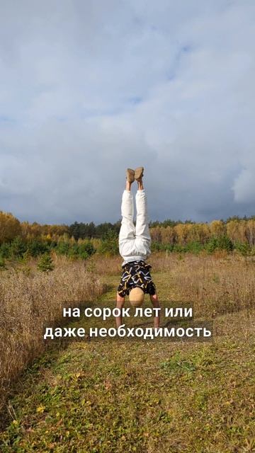 3 травы от высокой ипотеки смотреть онлайн