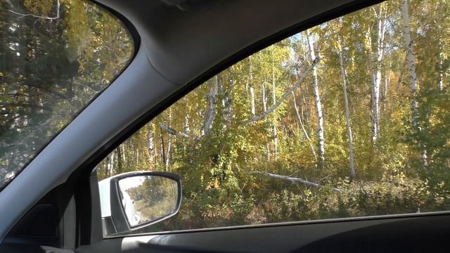 Обзор Ford Kuga 2.5 150 л.с. 2WD. Почему именно он?