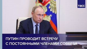 Путин проводит встречу с постоянными членами Совбеза