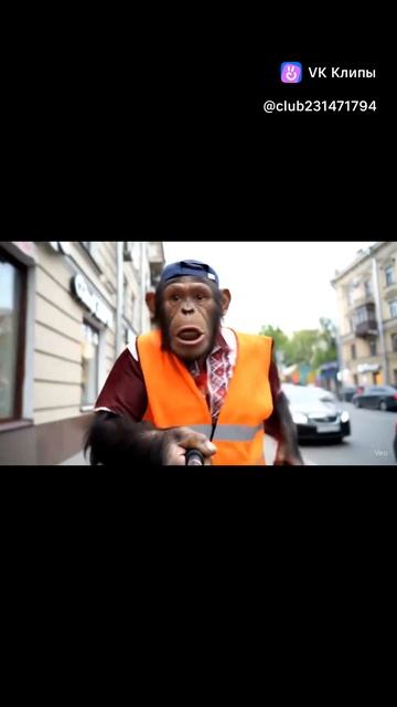 обезьяна жора прикол смотреть онлайн