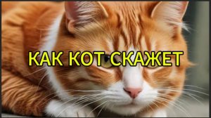 Как кот скажет
