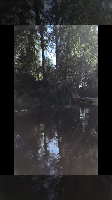 Ленобласть. Хвойное. 28.06.2024. Бивак туристов лодочников на острове на речке Вуокса