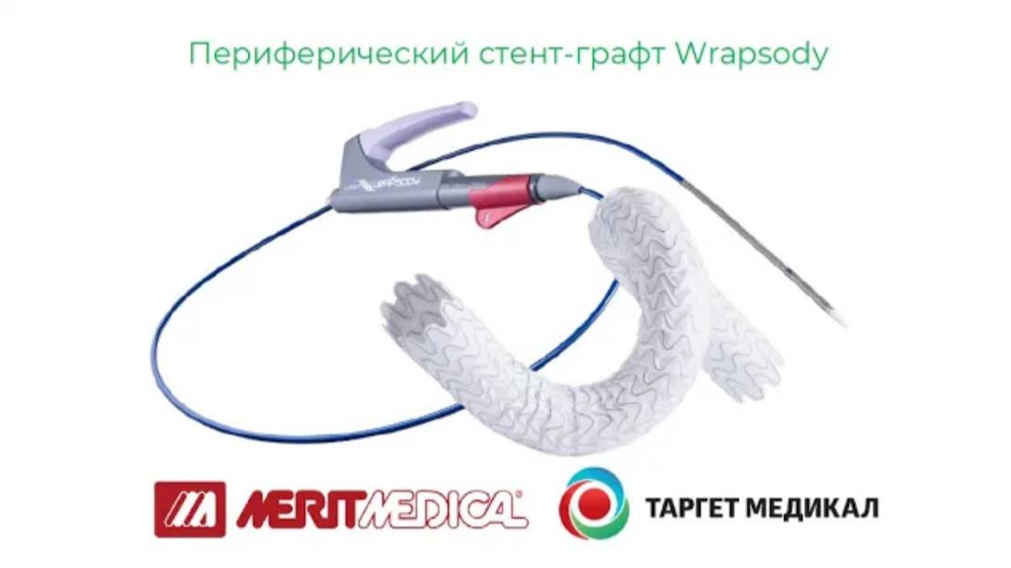 Wrapsody Merit стент-графт периферический