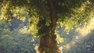 Истории из жизни. Требования свекрови после развода, как я дала отпор. Рассказы онлайн