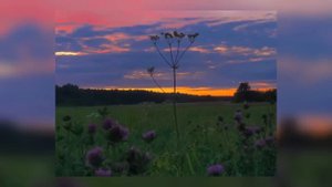 Вайбовая музыка | ночной вайб | вайб песни / vibe music 🎶