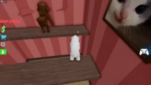 ТЕСТИРУЕМ НОВЫЕ ТЕЛА РОБЛОКСА В ОББИ! Roblox ESCAPE SCRATCH THE CAT OBBY