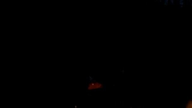 Деревенские приколы. День Рождения мамы  11. 10. 2014   (Сысоевский лес) 2 серия