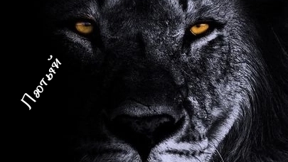 добыча водорода путем электролиза