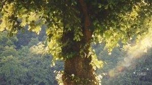 Истории из жизни. Искусство соблазнения. Рассказы онлайн