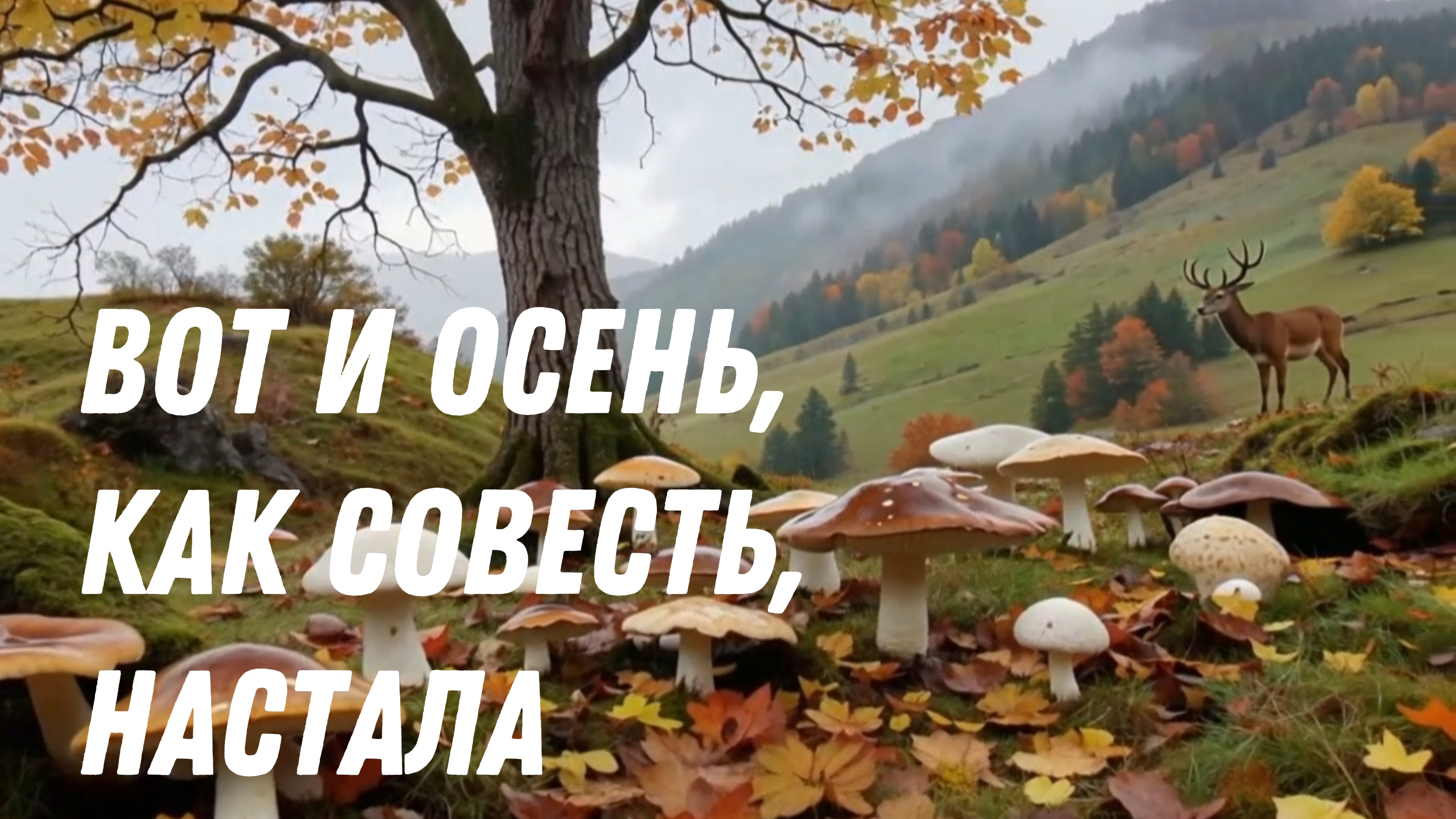 Вот и Осень, как Совесть, настала | Клип на стихи Иоллы