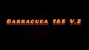 Бюджетные Barracuda 165 v.2 в матиз🔥