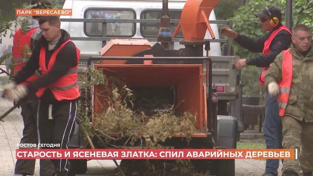 Ростов сегодня: дневной выпуск. 7 октября 2025