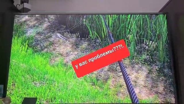 ПРОБЛЕМЫ.